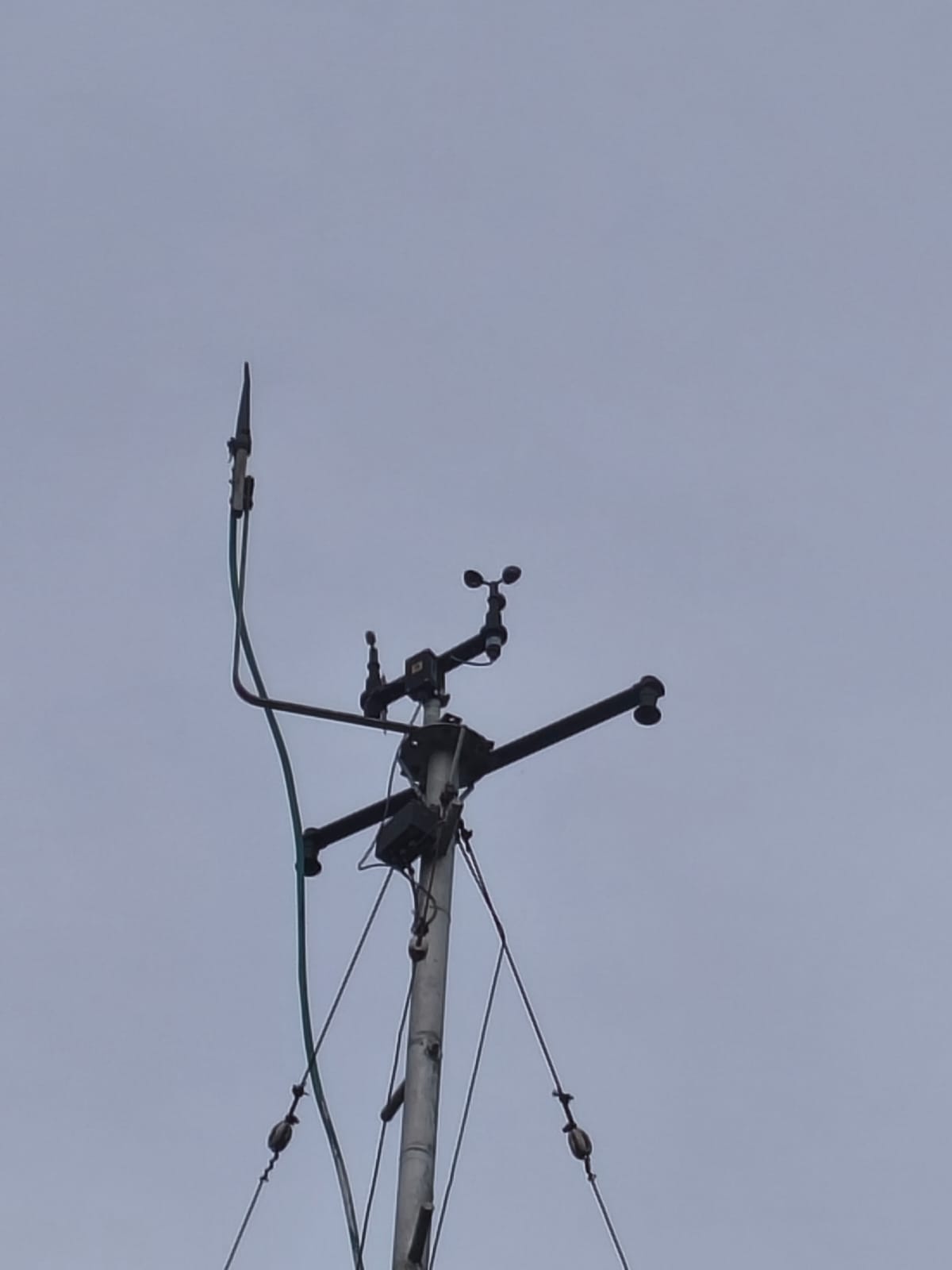 Anemometer & Cup